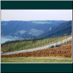 Rheinsteig II 114.jpg